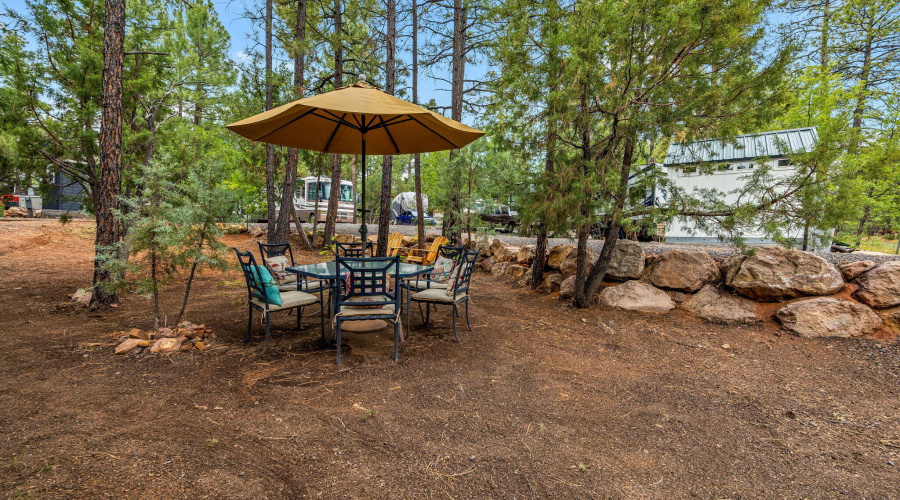 3750MuleSkinnerLoop-ShowLow-AZ-5