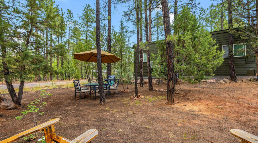 3750MuleSkinnerLoop-ShowLow-AZ-6