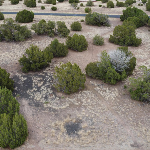 DJI_0107