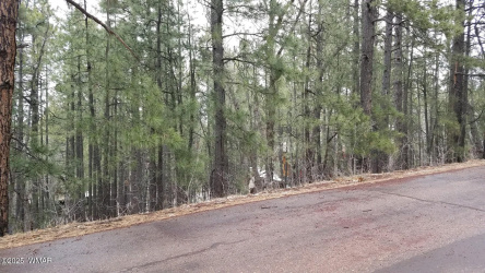 6166 Paradise Pine Lane, Pinetop, Arizona 85935, ,Land,For Sale,Paradise Pine,257109