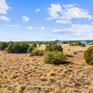 8487AlpinePl-ShowLow-AZ-1
