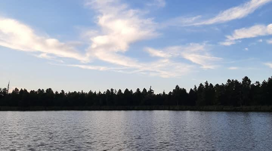 Looking across Lake of the Wood  a view