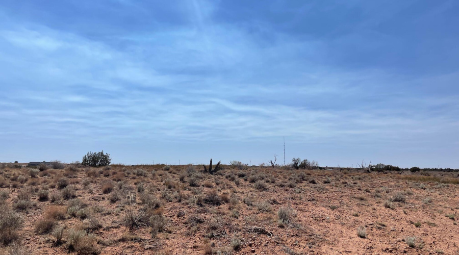 Highway 77, Snowflake