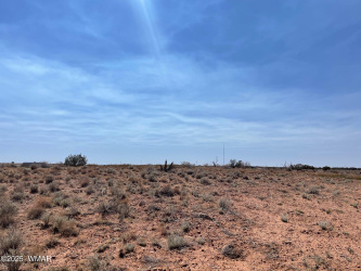 Parcel C Highway 77, Snowflake, Arizona 85937, ,Land,For Sale,Highway 77,257124