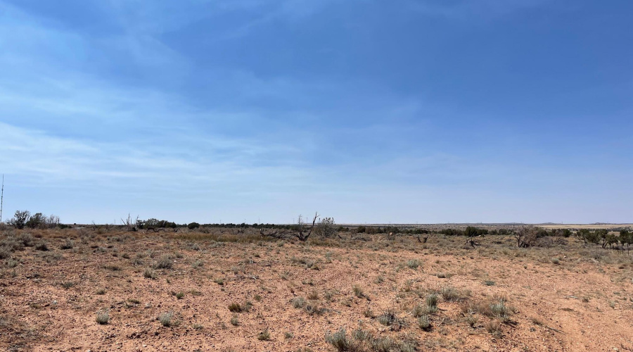 Highway 77, Snowflake