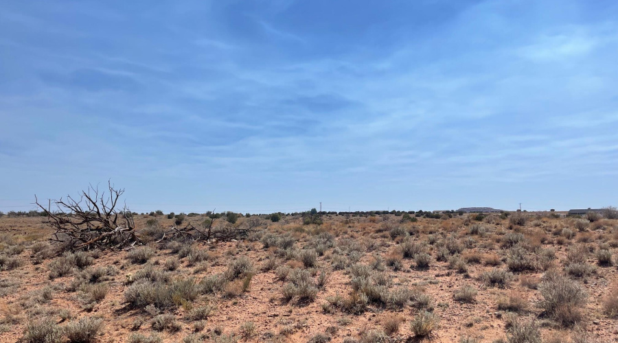 Highway 77, Snowflake