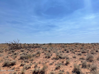Parcel B Highway 77, Snowflake, Arizona 85937, ,Land,For Sale,Highway 77,257123