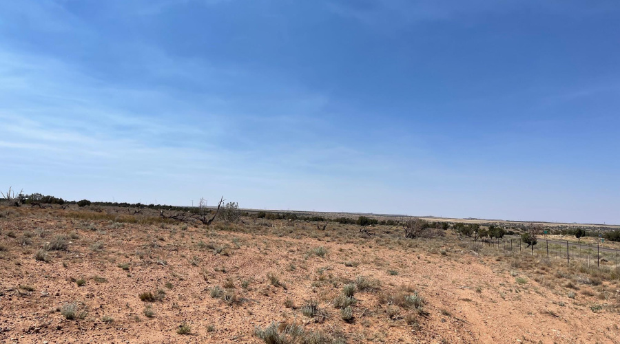 Highway 77, Snowflake