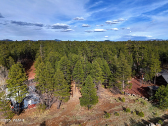 6372 Draco Drive, Lakeside, Arizona 85929, ,Land,For Sale,Draco,255913