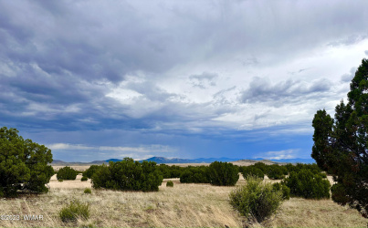 TBD County Rd N3440, Concho, Arizona 85924, ,Land,For Sale,County Rd N3440,255992