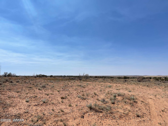 Parcel A HIghway 77, Snowflake, Arizona 85937, ,Land,For Sale,HIghway 77,257122