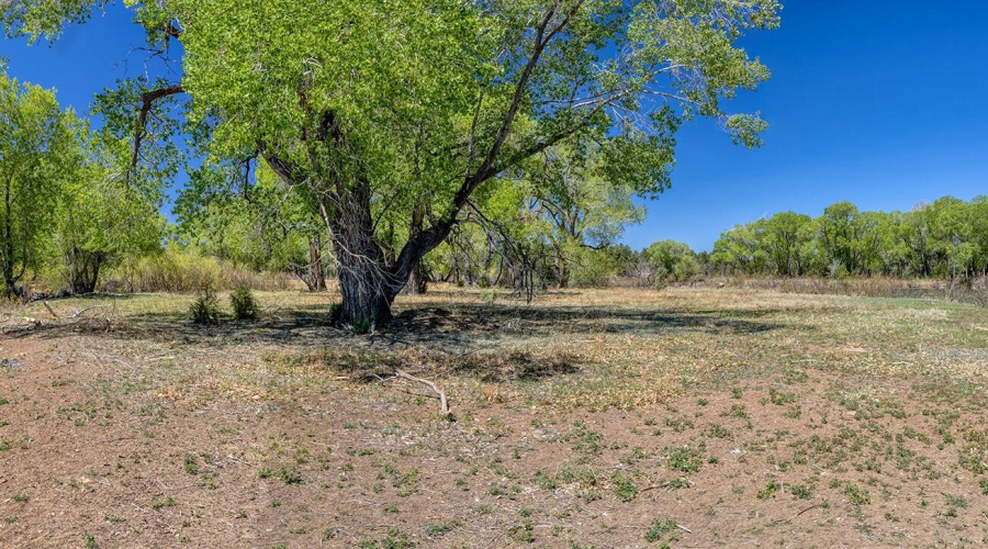 Flat Elevation - Larson rd property rain