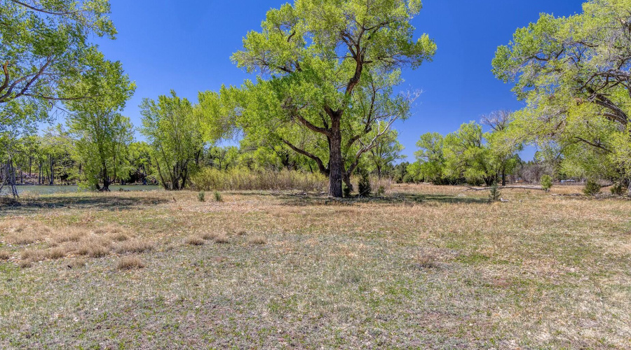 Peninsula Land - larson rd property rain
