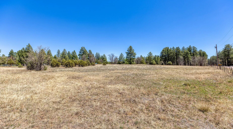 2.81 Acre Meadow Area - larsen rd proper