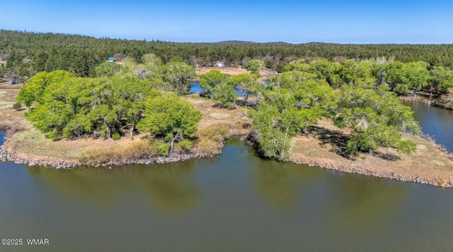 Lake Shoreline - Larson rd property rain