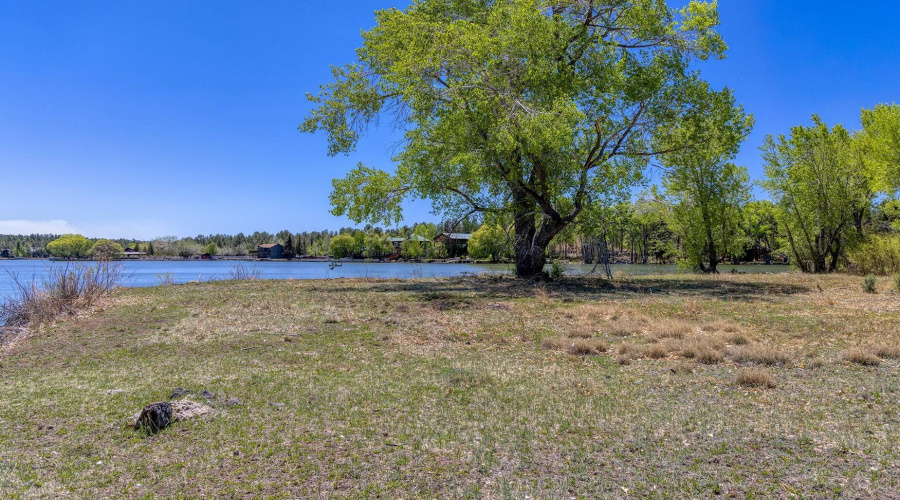 Peninsula Lake Frontage - larsen rd prop