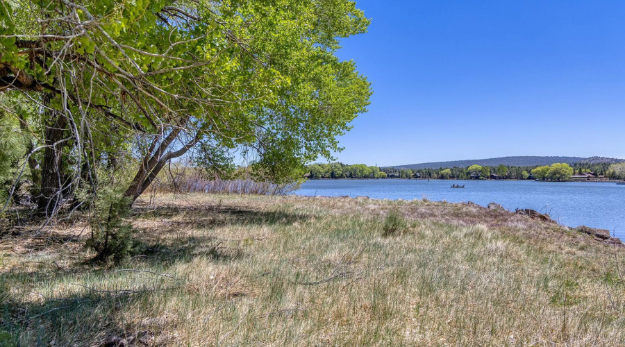 Lake View from Peninsula - larsen rd pro