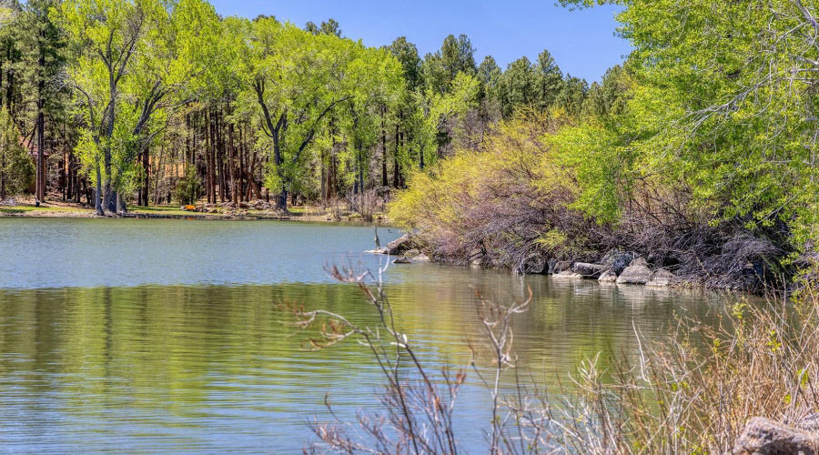 View of Lakefrontage Area - larsen rd pr