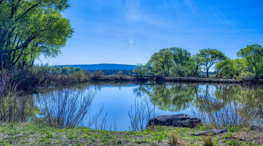 Lakefront Property Tranquility - larson