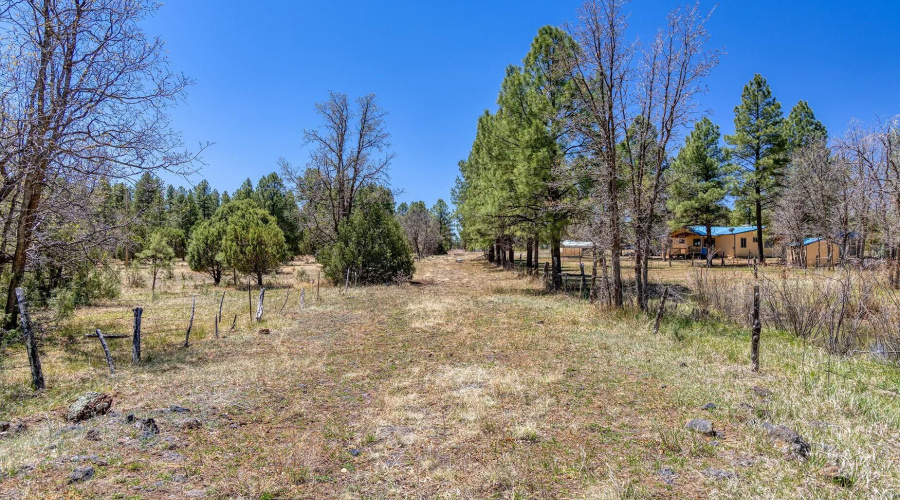 Potential Driveway to Larger Lot - larso