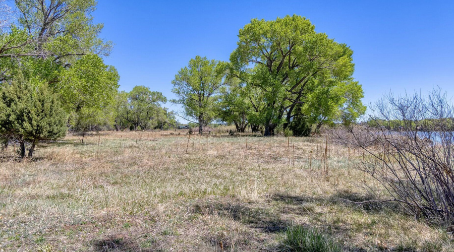 Peninsula Buildable Area - Larsen rd pro