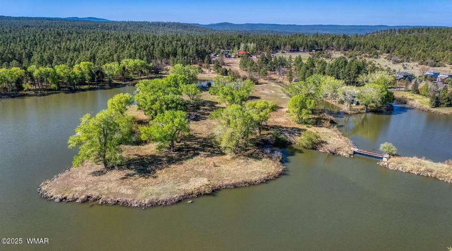 Aeria Peninsula Shoreline - Larson rd pr