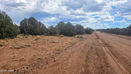 4427 Pinto Road, Snowflake, Arizona 85937, ,Land,For Sale,Pinto,256415