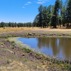 TBD STONE CREEK RD CR 2117, Alpine, Arizona 85920, ,Land,For Sale,STONE CREEK RD CR 2117,256888