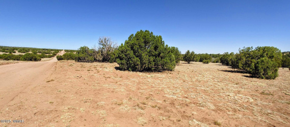 9182 Texas Lane, Show Low, Arizona 85901, ,Land,For Sale,Texas,256556