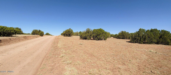9142 Texas Lane, Show Low, Arizona 85901, ,Land,For Sale,Texas,256555