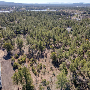Aerial Near Rainbow Lake
