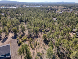 1481 Lacie Lane, Lakeside, Arizona 85929, ,Land,For Sale,Lacie,256671