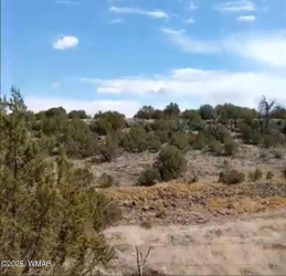 8594 Bobcat Drive, Show Low, Arizona 85901, ,Land,For Sale,Bobcat,256779