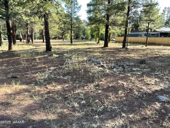5151 Saddle Strap Way, Pinetop, Arizona 85935, ,Land,For Sale,Saddle Strap,256692
