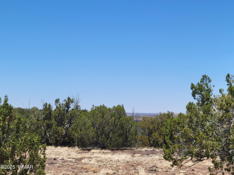8442 Lake Ridge Road, Show Low, Arizona 85901, ,Land,For Sale,Lake Ridge,256918