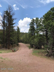 2 2331, Nutrioso, Arizona 85932, ,Land,For Sale,2331,256682