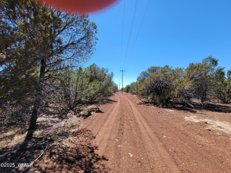 TBD Co Rd 3113, Vernon, Arizona 85940, ,Land,For Sale,Co Rd 3113,256917