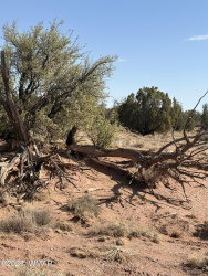 8580B Lawson Lane, Snowflake, Arizona 85937, ,Land,For Sale,Lawson,257135