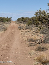 8580c Lawson Lane, Snowflake, Arizona 85937, ,Land,For Sale,Lawson,257134