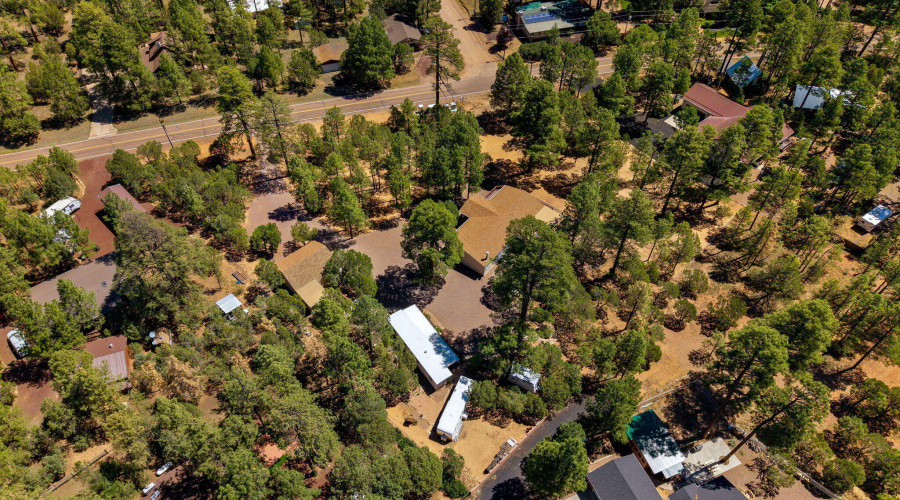 2884PineRimRoad-Overgaard-AZ-6