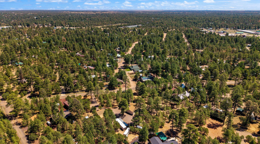 2884PineRimRoad-Overgaard-AZ-7