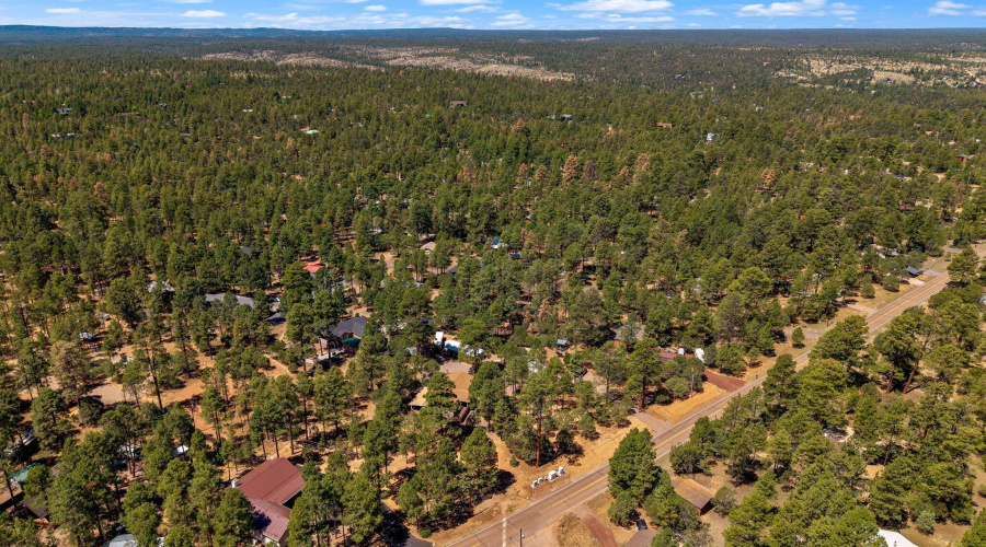 2884PineRimRoad-Overgaard-AZ-9