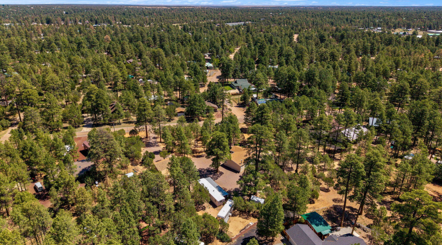 2884PineRimRoad-Overgaard-AZ-13