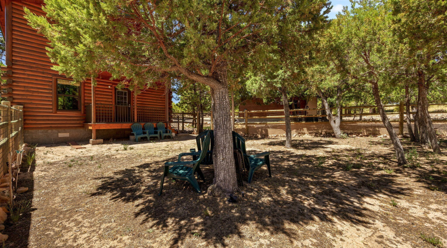 1464LowMountainTrail-Heber-AZ-23