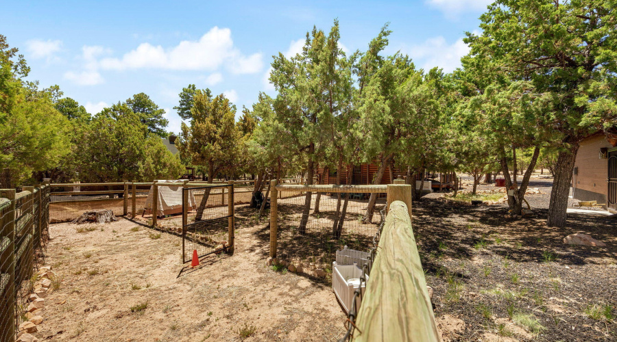 1464LowMountainTrail-Heber-AZ-24