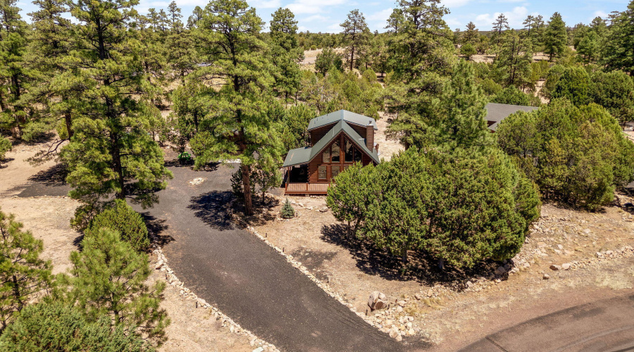 1464LowMountainTrail-Heber-AZ-31