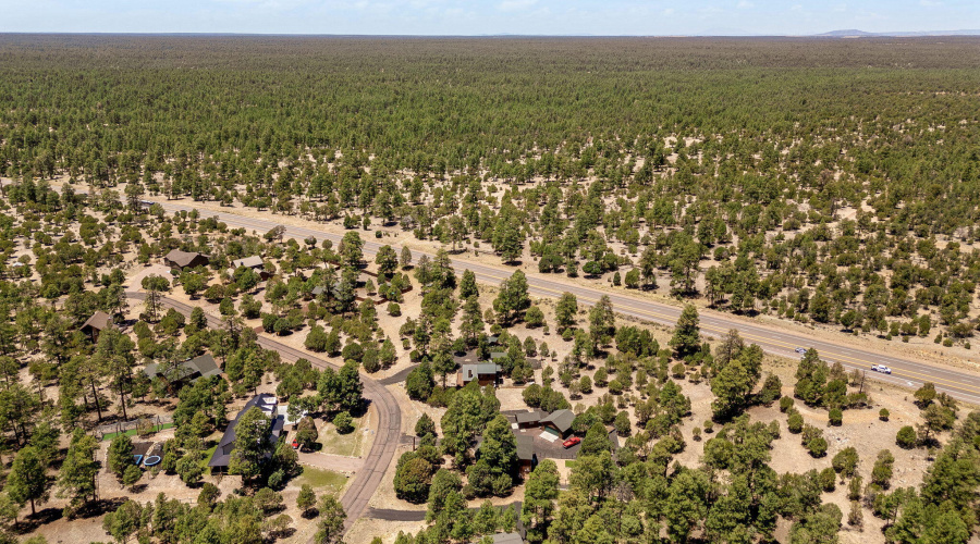 1464LowMountainTrail-Heber-AZ-34