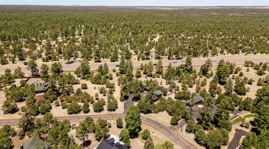 1464LowMountainTrail-Heber-AZ-35