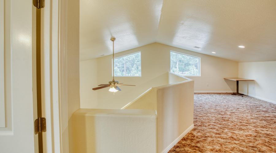 Forest Views from Inside