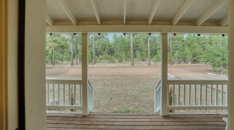 Forest Views from Your Front Door
